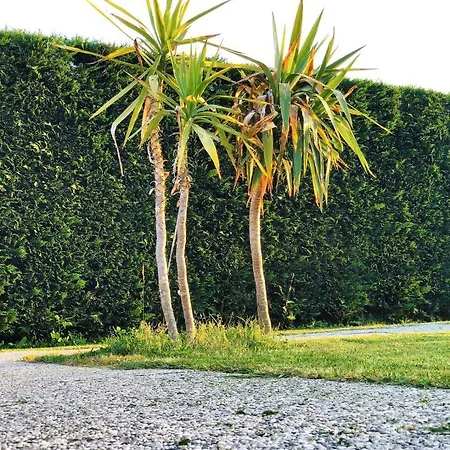 Farm stay La Conte