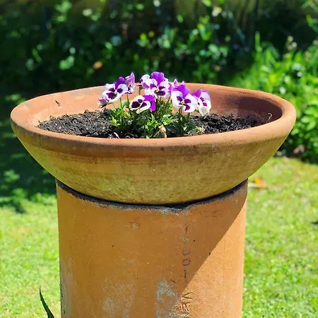 Farm stay La Conte Lucca